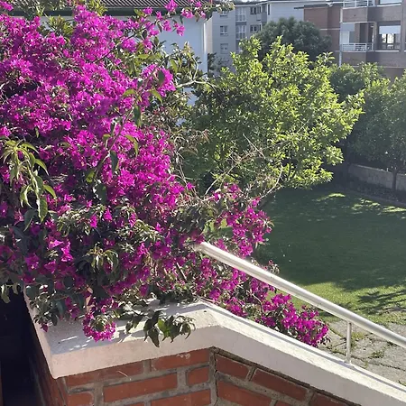Biritxena En Lbi00683 דירה